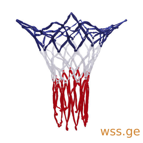basketball Net.jpg