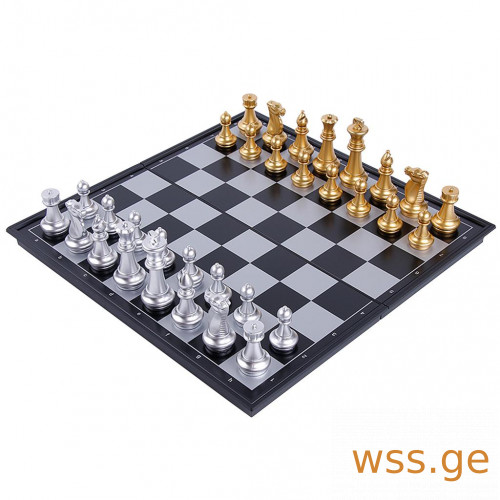 Magnetic Chess.jpeg